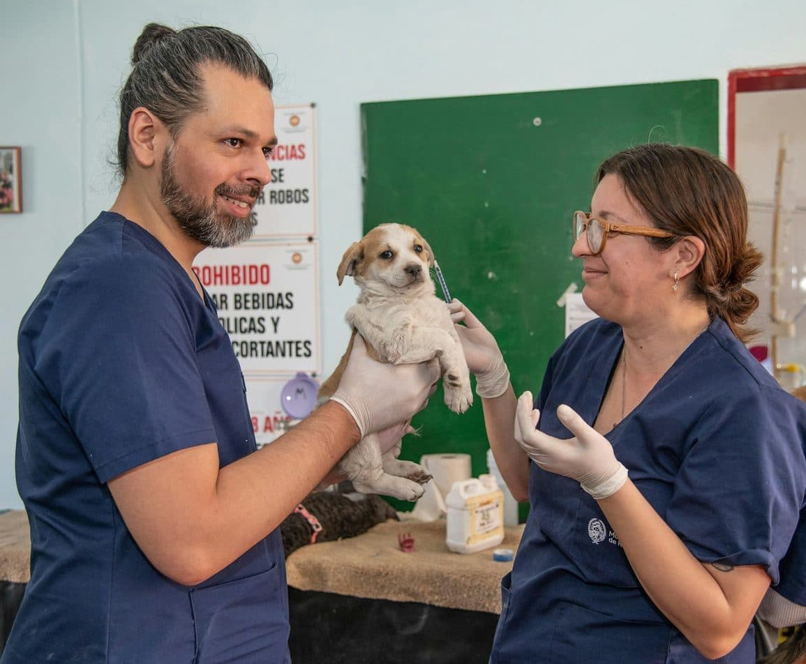 Veterinary team holding a small puppy in a clinic